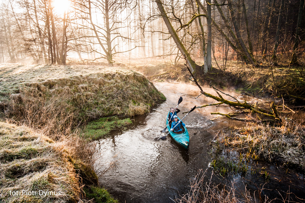 Aktywność w plenerze wśród drzew