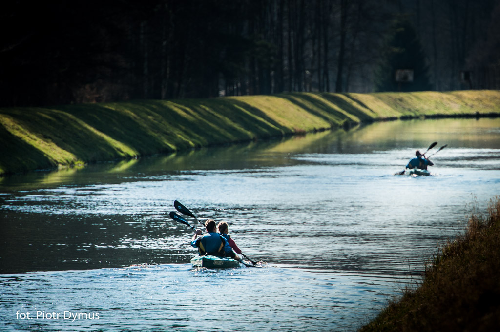 Grupa wolontariuszy na leśnej ścieżce